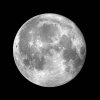 Moon Videos